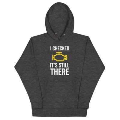 I Checked It’s Still There Hoodie