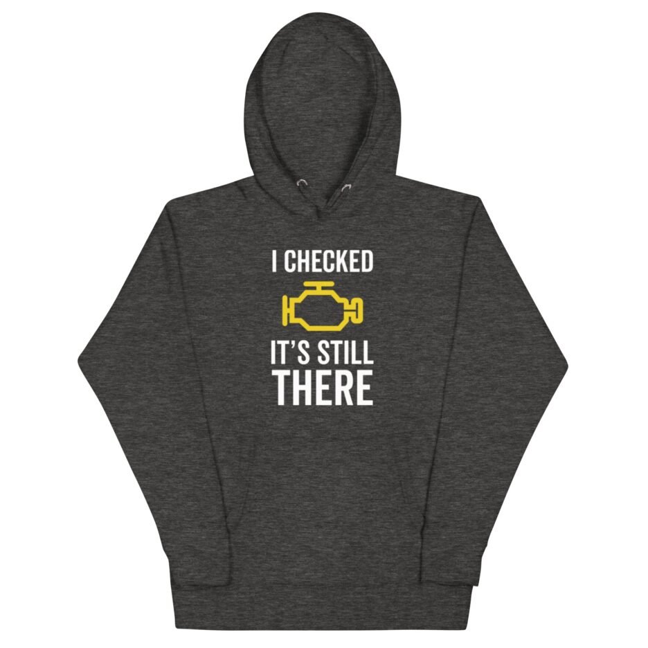 I Checked It’s Still There Hoodie